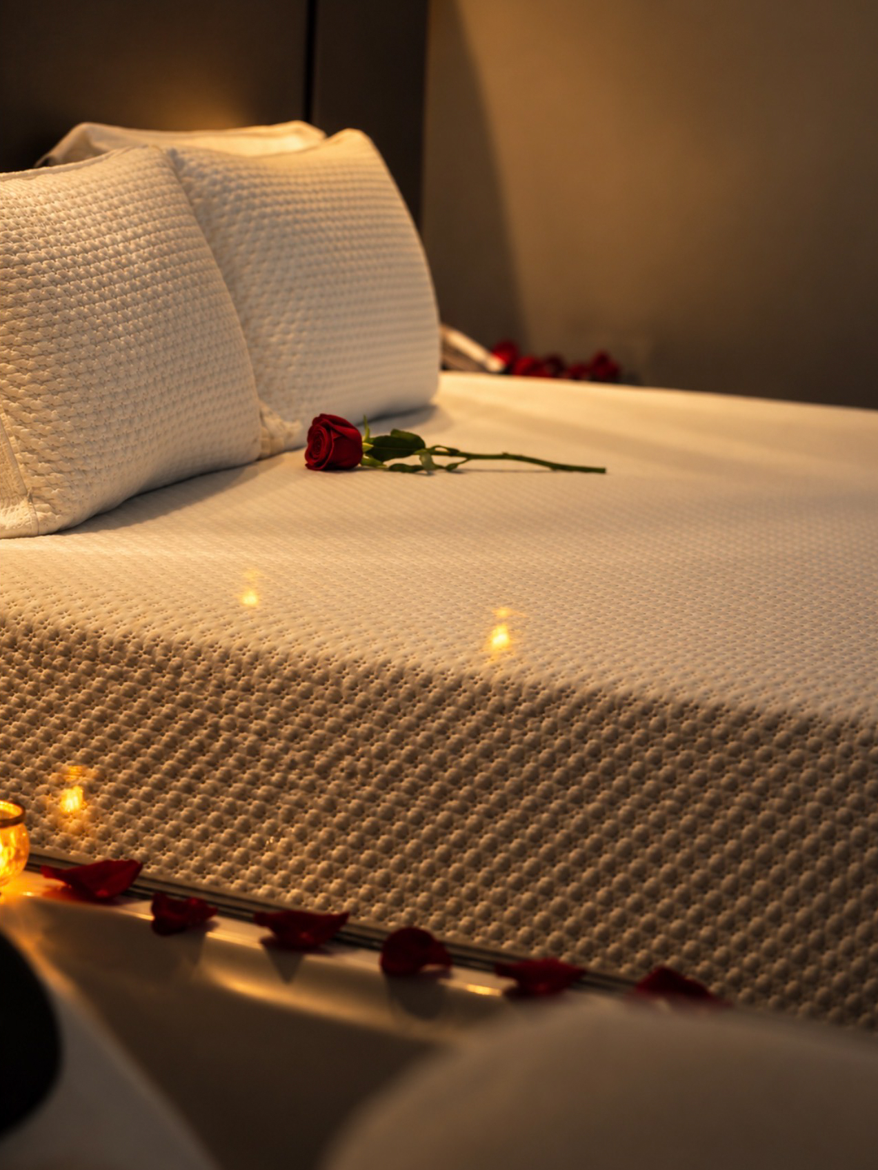 Hotelaria — Looveads 18